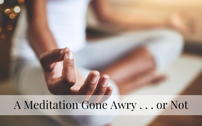 A Meditation Gone Awry