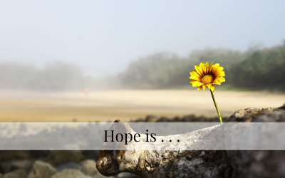 Hope is . . .