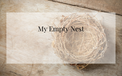My Empty Nest