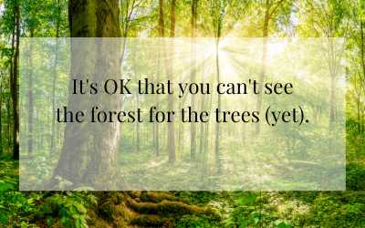 Not seeing the forest for the trees (yet)