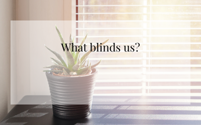 What Blinds Us?