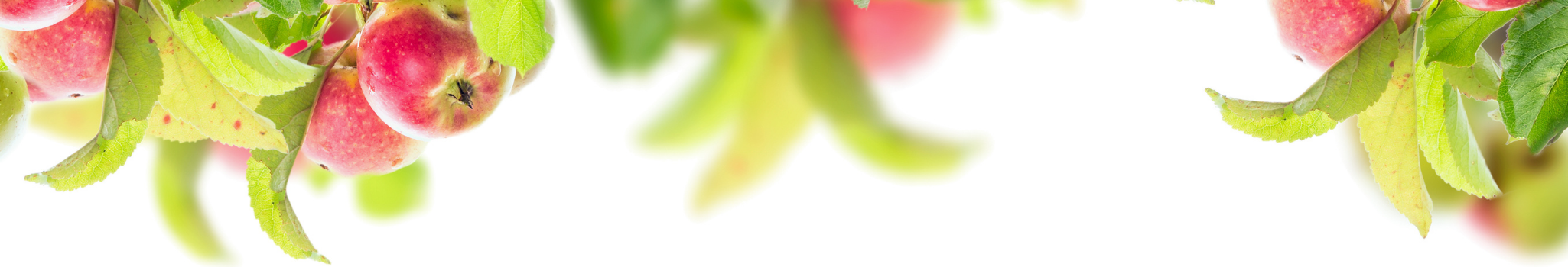 WorkWithMeBadge (5)