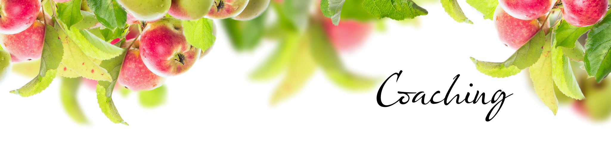 CoachingBanner (1)