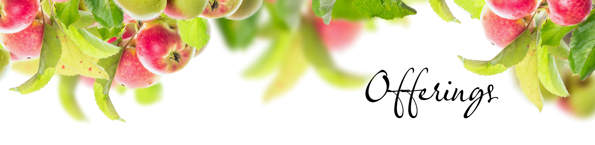 ShopBanner
