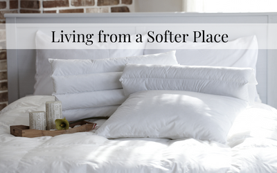 Living from a Softer Place