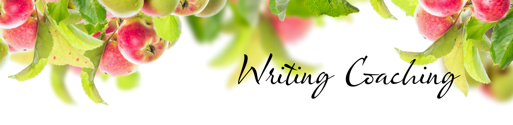 BookCoachingBanner (6)